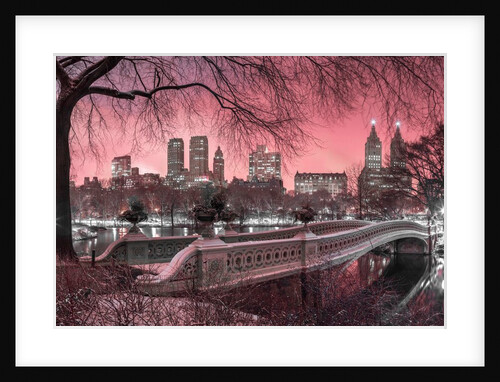 Central park, New York by Assaf Frank